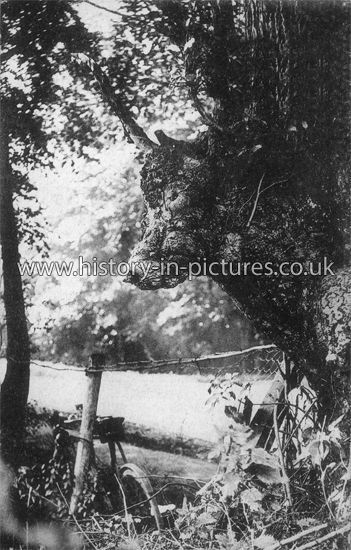 The Bull's Head, Near Rochford, Essex. c.1905